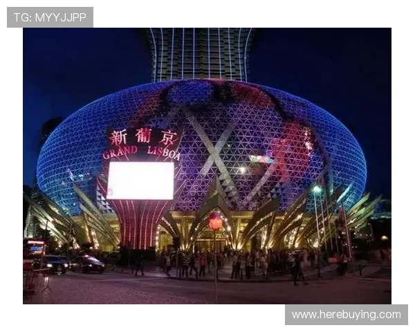 澳门新葡京登陆平台特色介绍，体验多样化的娱乐项目与优质服务