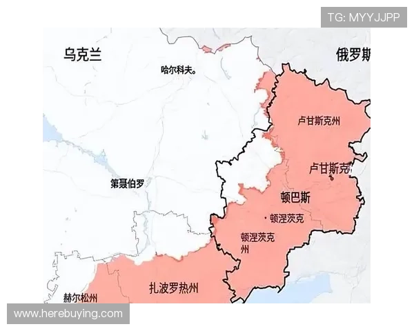 新普京：俄罗斯在全球地缘政治中的角色与影响力提升