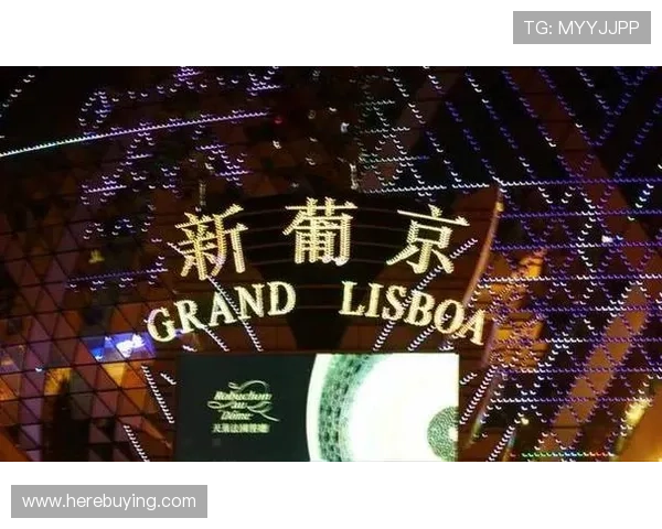 新葡京娱乐旗舰平台：专业客服团队全天候保障用户权益