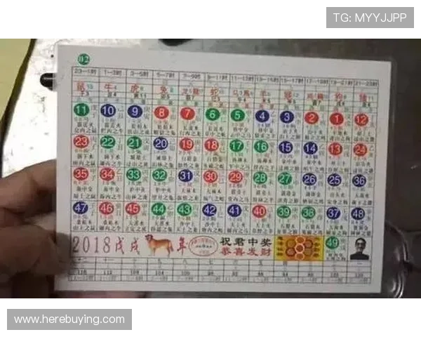 澳门六合彩投注平台推荐与安全指南，保障您的资金安全与顺利投注体验
